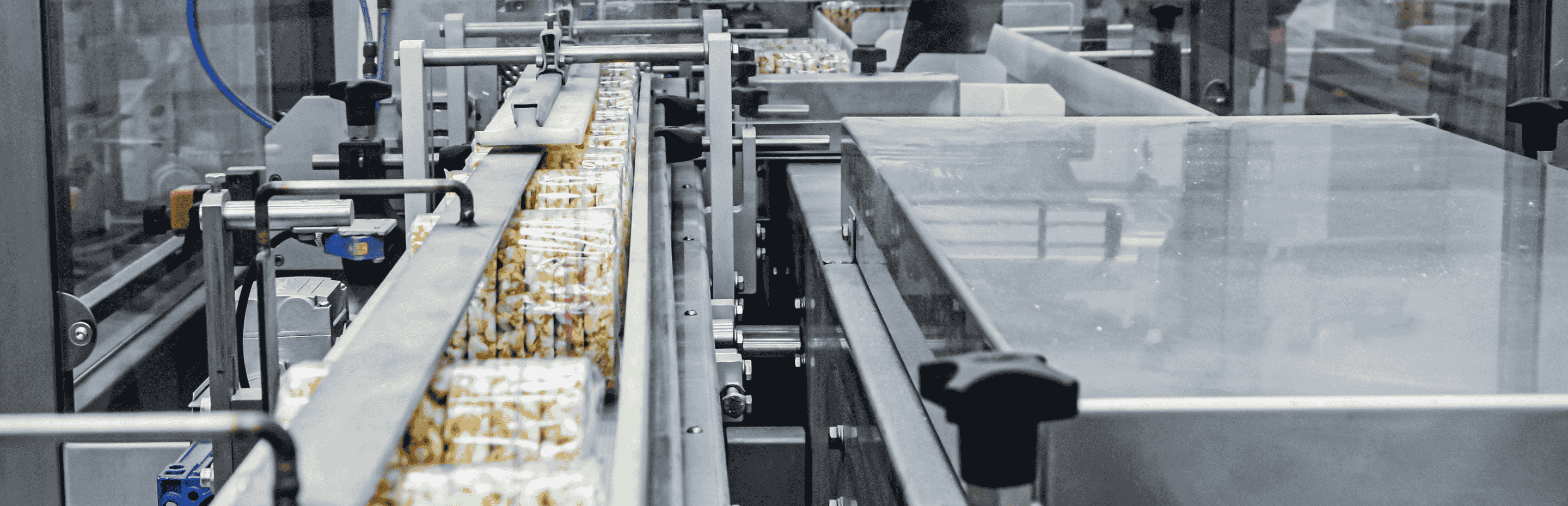 Giám định dây chuyền sản xuất